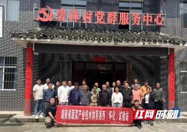 湖南省蔬菜产业技术体系湘西（怀化）试验站走进新晃